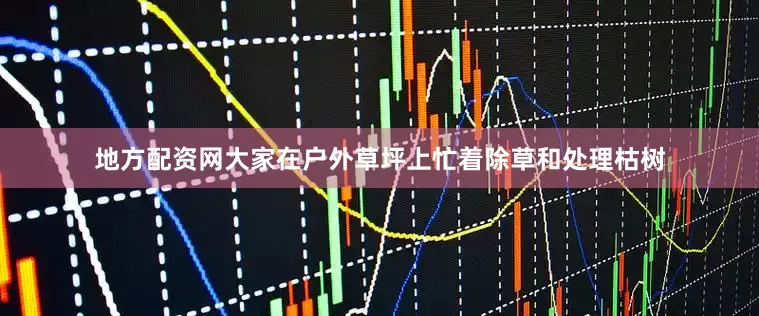 地方配资网大家在户外草坪上忙着除草和处理枯树