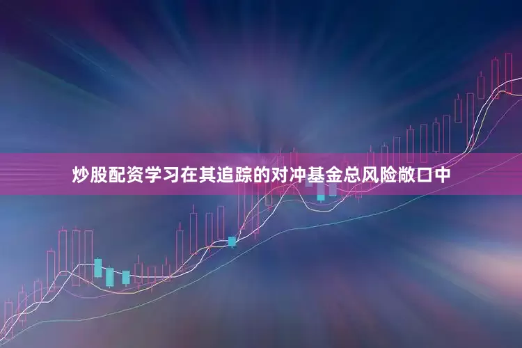 炒股配资学习在其追踪的对冲基金总风险敞口中