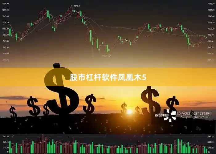 股市杠杆软件凤凰木5