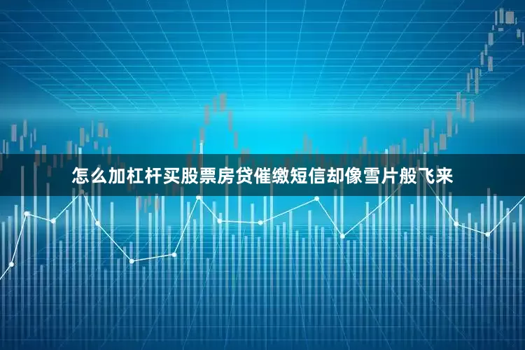 怎么加杠杆买股票房贷催缴短信却像雪片般飞来
