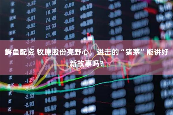 鳄鱼配资 牧原股份亮野心，进击的“猪茅”能讲好新故事吗？