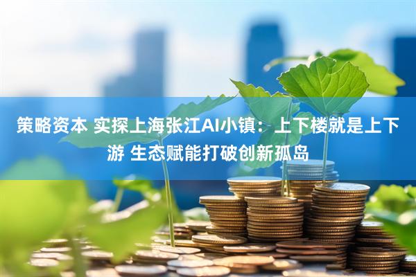 策略资本 实探上海张江AI小镇：上下楼就是上下游 生态赋能打破创新孤岛