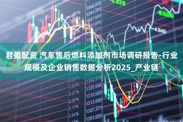 君盈配资 汽车售后燃料添加剂市场调研报告-行业规模及企业销售数据分析2025_产业链