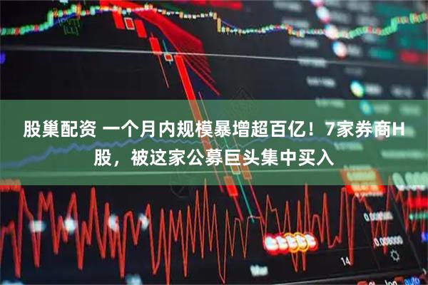 股巢配资 一个月内规模暴增超百亿！7家券商H股，被这家公募巨头集中买入