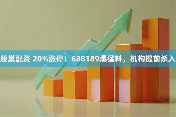 股巢配资 20%涨停！688189爆猛料，机构提前杀入