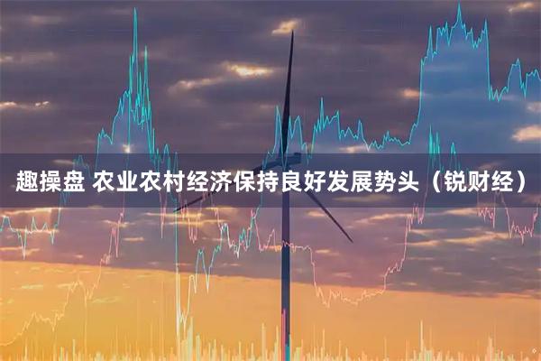 趣操盘 农业农村经济保持良好发展势头（锐财经）