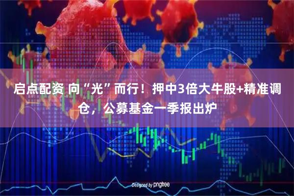 启点配资 向“光”而行！押中3倍大牛股+精准调仓，公募基金一季报出炉