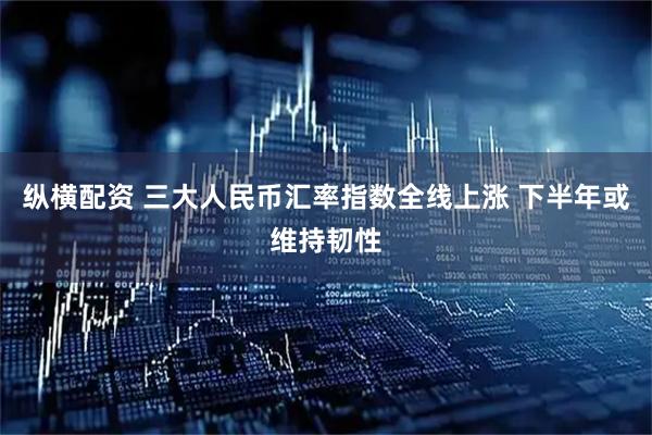 纵横配资 三大人民币汇率指数全线上涨 下半年或维持韧性