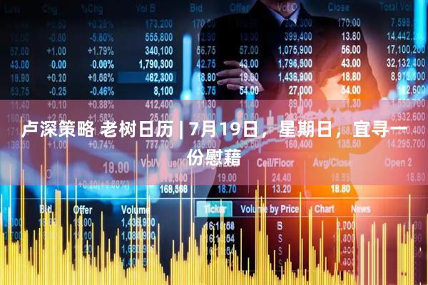 卢深策略 老树日历 | 7月19日，星期日，宜寻一份慰藉